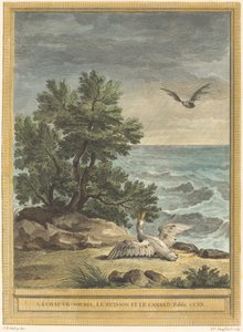 La chauve-souris, le buisson et le canard