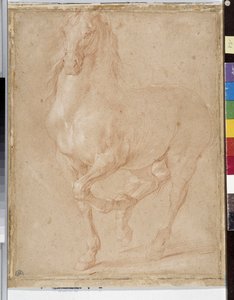 Étude de cheval