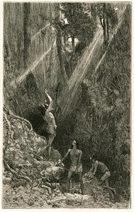 Indiens Suno, des rives du fleuve Napo (Amazonie), chassant à la sarbacane. Gravure de Vignal, pour illustrer l