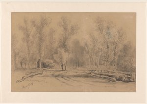 Ferme au bord de la forêt avec de grands arbres près de Harskamp - Piet Meiners