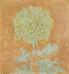 Chrysanthème
