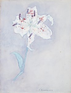 Lys, c.1920-25 - Piet Mondrian
