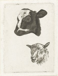 Tête de veau pie noir et mouton - Pieter Barbiers (IV)
