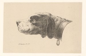 Tête de chien avec collier - Pieter Bartholomeusz. Barbiers