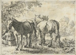 Trois chevaux et un fermier - Pieter Bodding van Laer