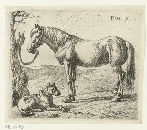 Cheval et chien dans un pré (Chevaux)
