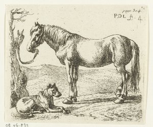 Cheval et chien dans un pré