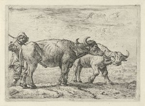 Deux buffles et un berger - Pieter Bodding van Laer