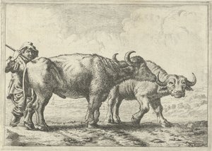 Deux buffles et un berger (Verschillende dieren)