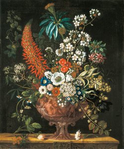 Décembre, des Douze Mois de Fleurs, un calendrier floral de natures mortes, 1730