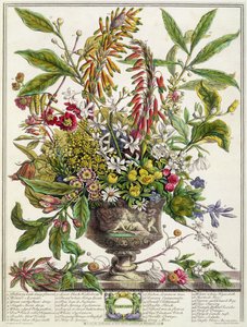 Janvier, de 
