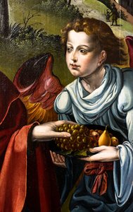  - Pieter Coecke van Aelst