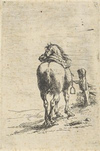 Cheval sellé attaché à un poteau
