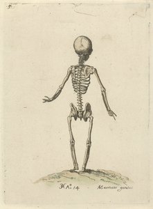 Squelette, vu de dos - Pieter Feddes van Harlingen