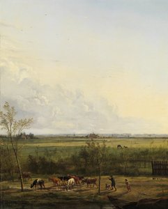 Vue lointaine des prairies à 