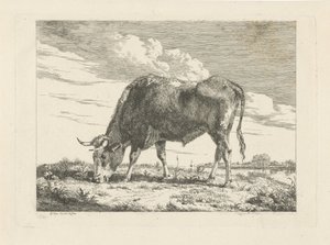 Vache broutant - Pieter Gerardus van Os