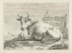 Vache couchée près d