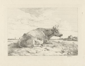 Vache couchée avec chardon