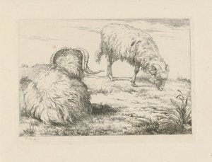 Deux béliers dans le pré - Pieter Gerardus van Os