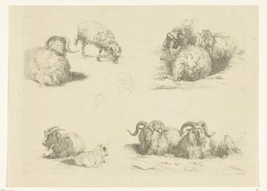 Quatre scènes avec des moutons et des chèvres