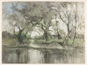 Arbres au bord de l