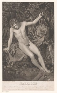 Narcisse au bord de l