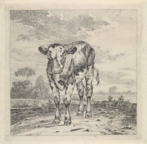 Paysage avec veau - Pieter Janson
