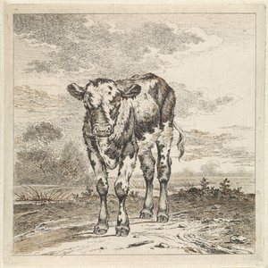 Paysage avec veau - Pieter Janson