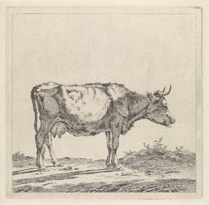 Paysage avec vache au bord de l