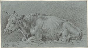 Vache allongée