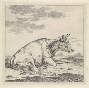 Vache couchée, vers la droite - Pieter Janson