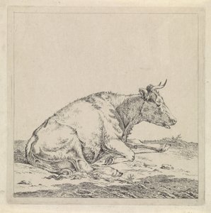 Vache couchée, vers la droite