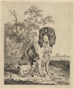Chien de chasse assis - Pieter Janson