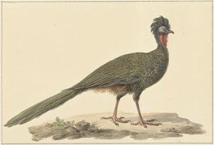 Pénélope, sur le sol - Pieter Pietersz. Barbiers