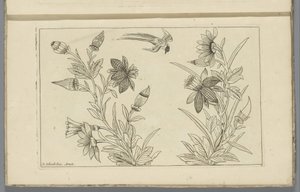 Deux buissons de fleurs et une hirondelle (Fleurs et oiseaux chinois) - Pieter Schenk (II)
