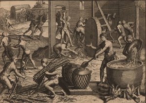 Les esclaves traitent la canne à sucre et fabriquent du sucre - Pieter Van der Aa