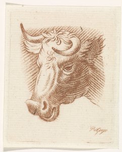 Tête de taureau - Pieter de Goeje