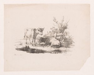 Deux vaches près d