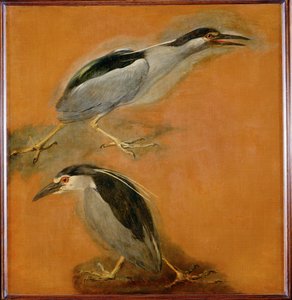 Deux hérons (peinture sur toile)
