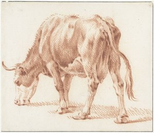 Vache broutant, vers la gauche - Pieter van Bloemen