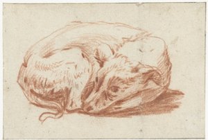 Chien couché
