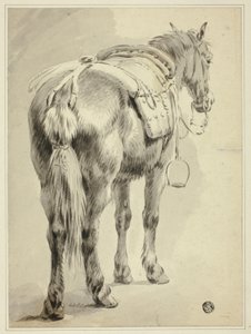 Cheval de selle - Pieter van Bloemen