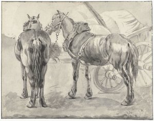 Deux chevaux de trait près d
