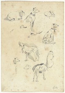 Études de chiens - Pieter van Loon