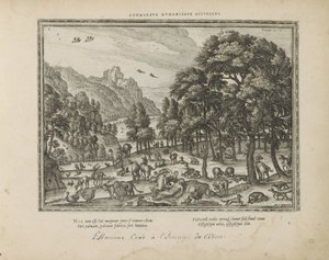 Création de l
