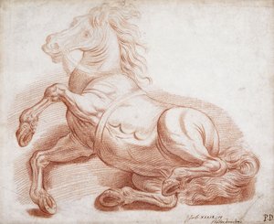Un cheval tombé