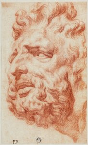 Tête de Laocoon - Pietro Dandini