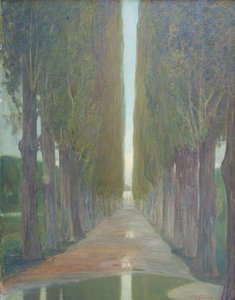 Les peupliers - Pietro Fragiacomo