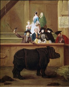 Rhinocéros: exposition de Clara, rhinocéros indien