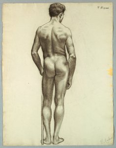 Nu masculin debout vu de dos